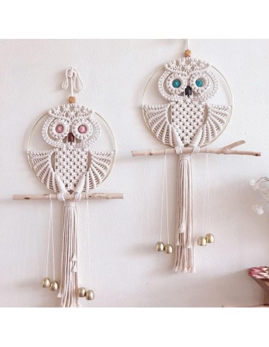 Attrape rêve hibou macramé est présent 