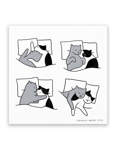 Sleeping Cats acheter en ligne