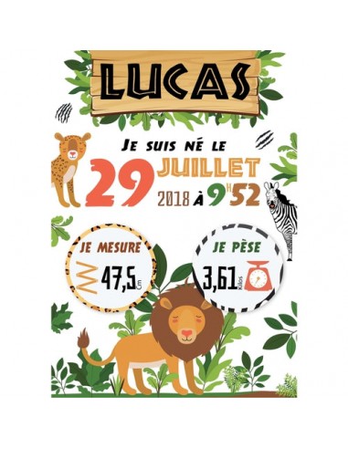 Affiche naissance personnalisée  Savane  Lion Paris Déstockage Promo