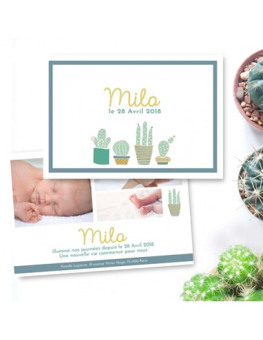 Faire part de naissance cactus pastel En savoir plus